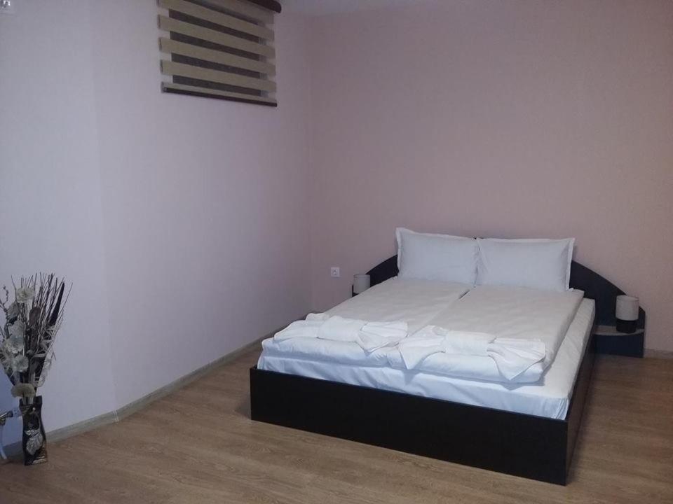 Guest House Ideal Saparewa Banja Exterior foto