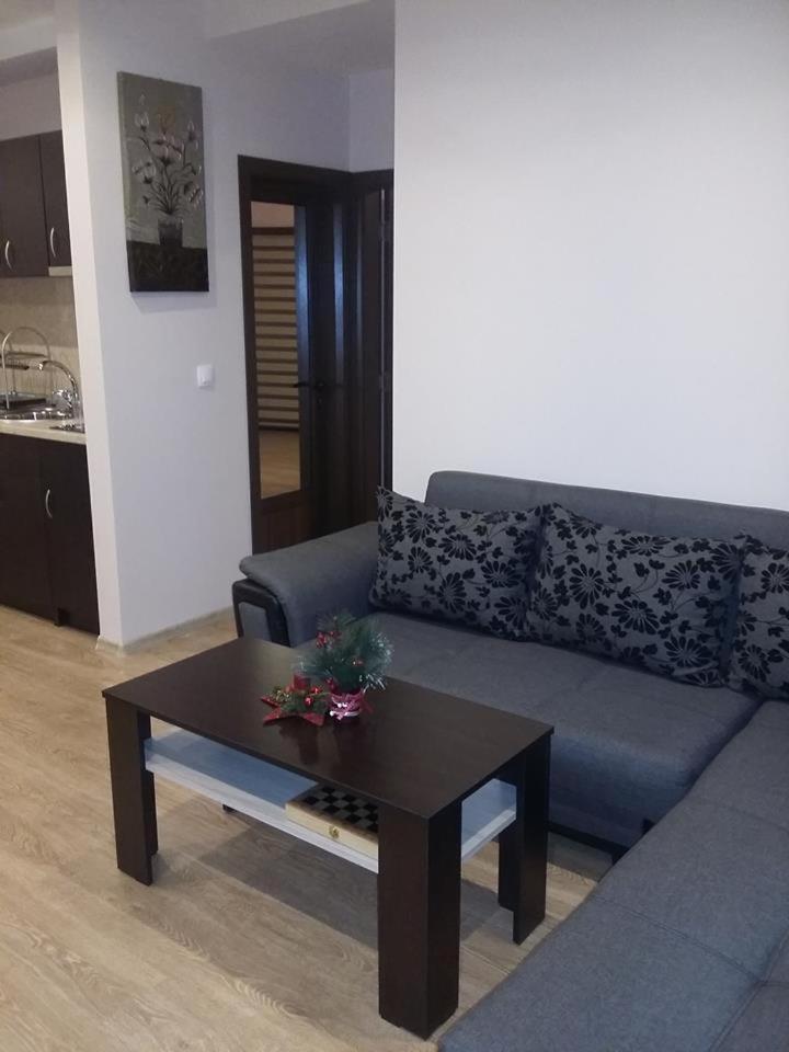 Guest House Ideal Saparewa Banja Exterior foto
