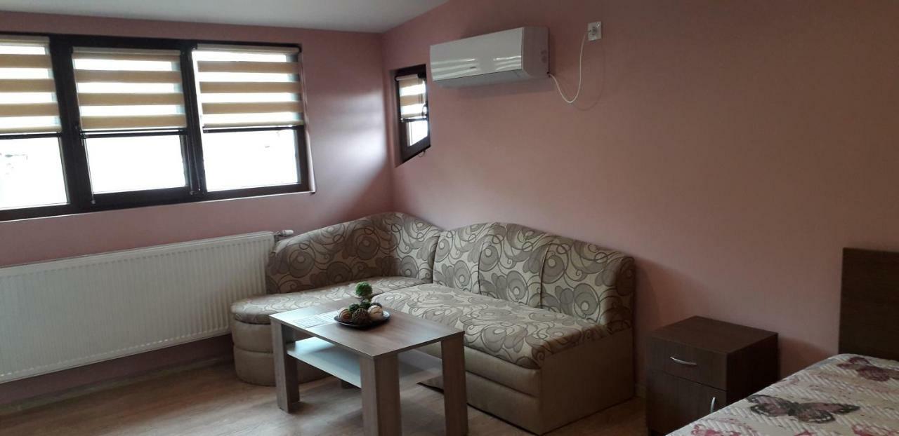 Guest House Ideal Saparewa Banja Exterior foto