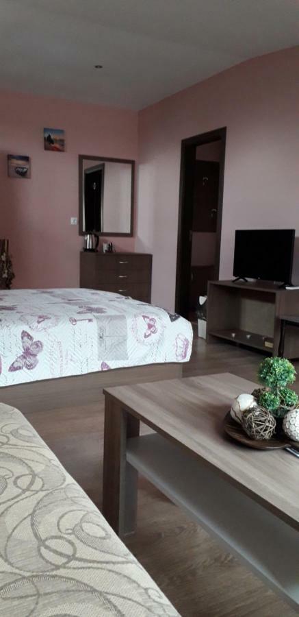 Guest House Ideal Saparewa Banja Exterior foto